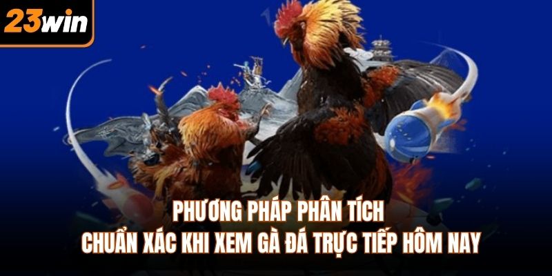 Phương pháp phân tích chuẩn xác khi xem gà đá trực tiếp hôm nay